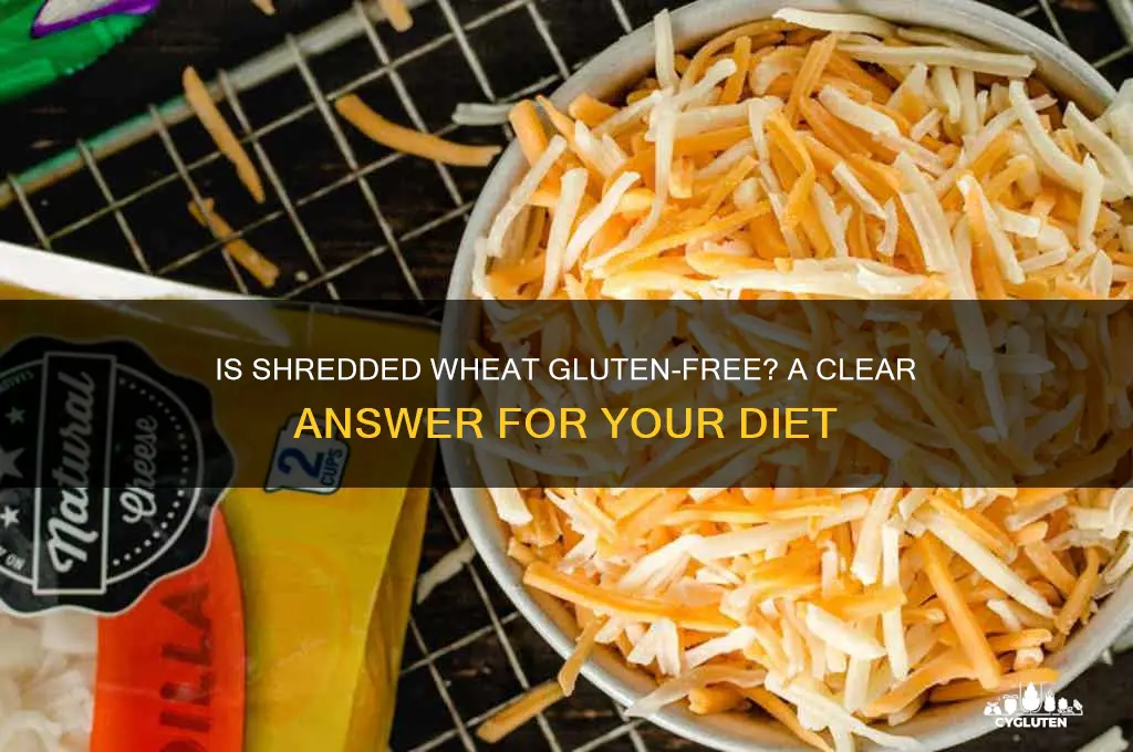 are shredded wheat gluten free