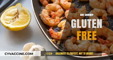 Are Shrimp Gluten-Free? A Complete Guide to Safe Seafood Choices