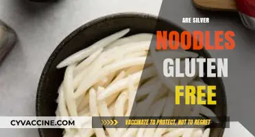 Are Silver Noodles Gluten-Free? A Clear Answer for Your Diet