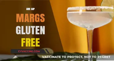 Are Sip Margs Gluten Free? Unveiling the Truth for Celiac Drinkers