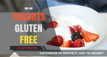 Are Ski Yogurts Gluten-Free? A Complete Guide for Skiers