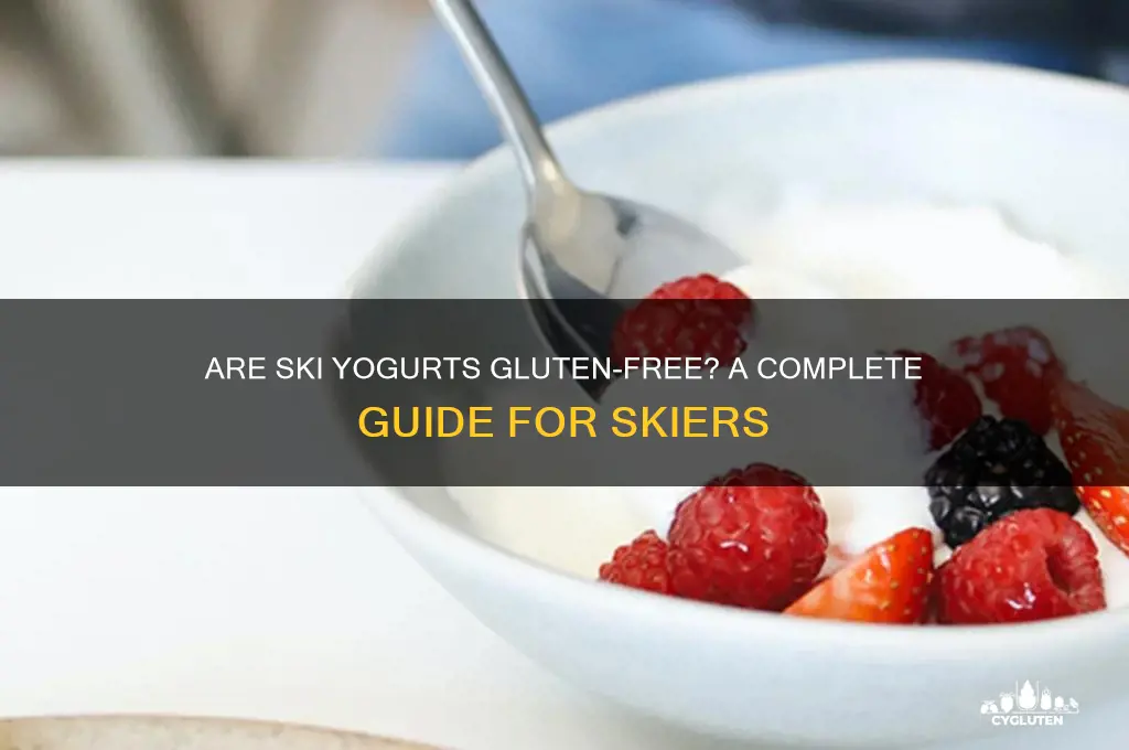 are ski yogurts gluten free