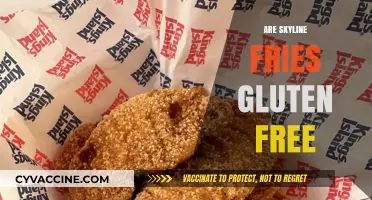 Are Skyline Fries Gluten-Free? A Complete Guide for Celiac Diners
