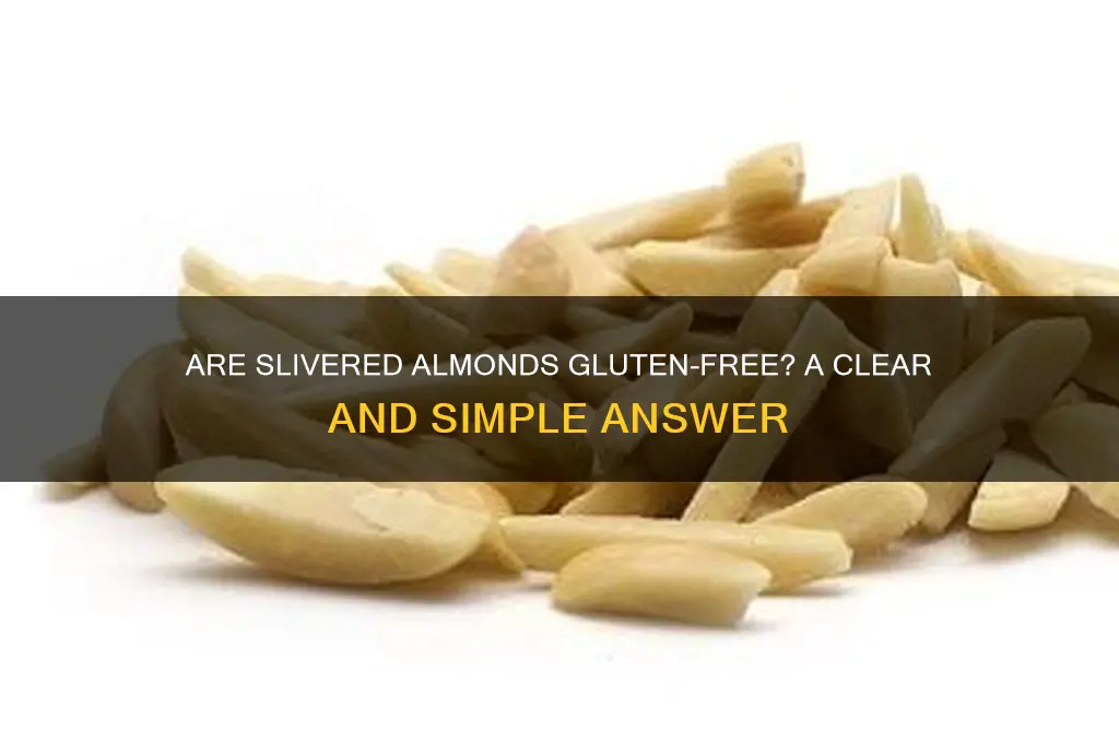 are slivered almonds gluten free