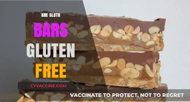 Are Sloth Bars Gluten-Free? A Complete Guide to Ingredients