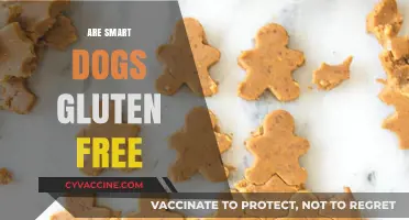 Are Smart Dog Treats Gluten-Free? A Pet Parent's Guide