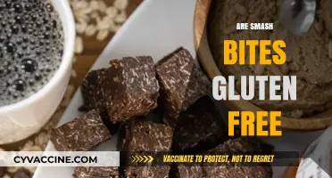 Are Smash Bites Gluten-Free? A Comprehensive Guide for Snack Lovers