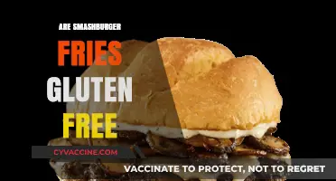 Are Smashburger Fries Gluten-Free? A Complete Guide for Celiac Diners