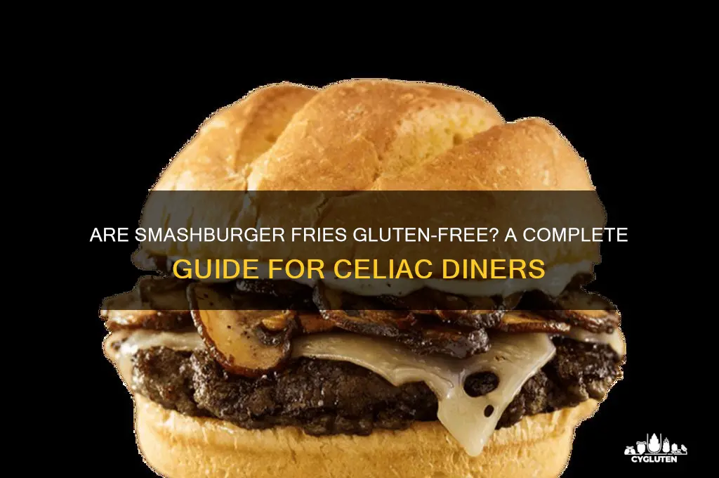 are smashburger fries gluten free
