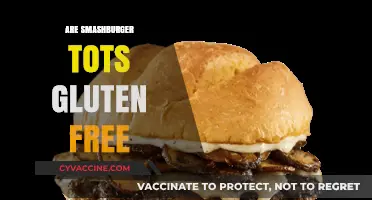 Are Smashburger Tots Gluten-Free? A Complete Guide for Diners