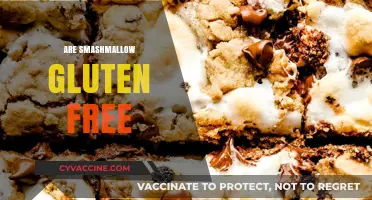 Are Smashmallow Gluten-Free? A Sweet Snack Fact Check