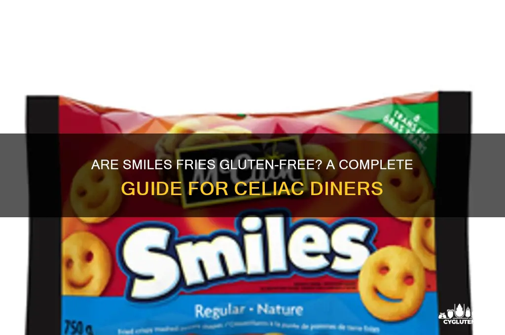 are smiles fries gluten free