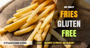 Are Smiley Fries Gluten-Free? A Complete Guide for Celiac Eaters