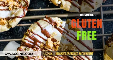 Are S'mores Gluten Free? Ingredients and Safe Alternatives Explained