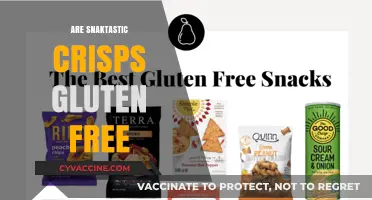 Snaktastic Crisps: Gluten-Free Snack Option or Hidden Danger?