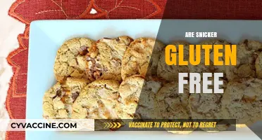 Are Snickers Gluten-Free? Uncovering the Truth for Celiac Eaters