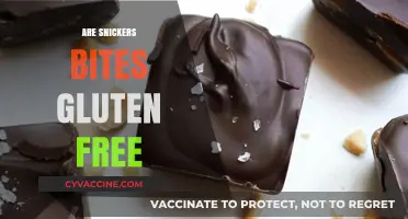 Are Snickers Bites Gluten-Free? A Complete Guide for Snack Lovers