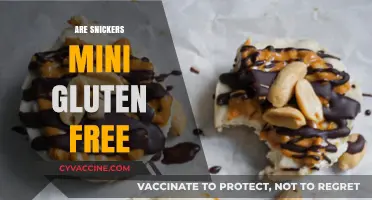 Are Snickers Mini Gluten-Free? A Complete Guide for Snack Lovers