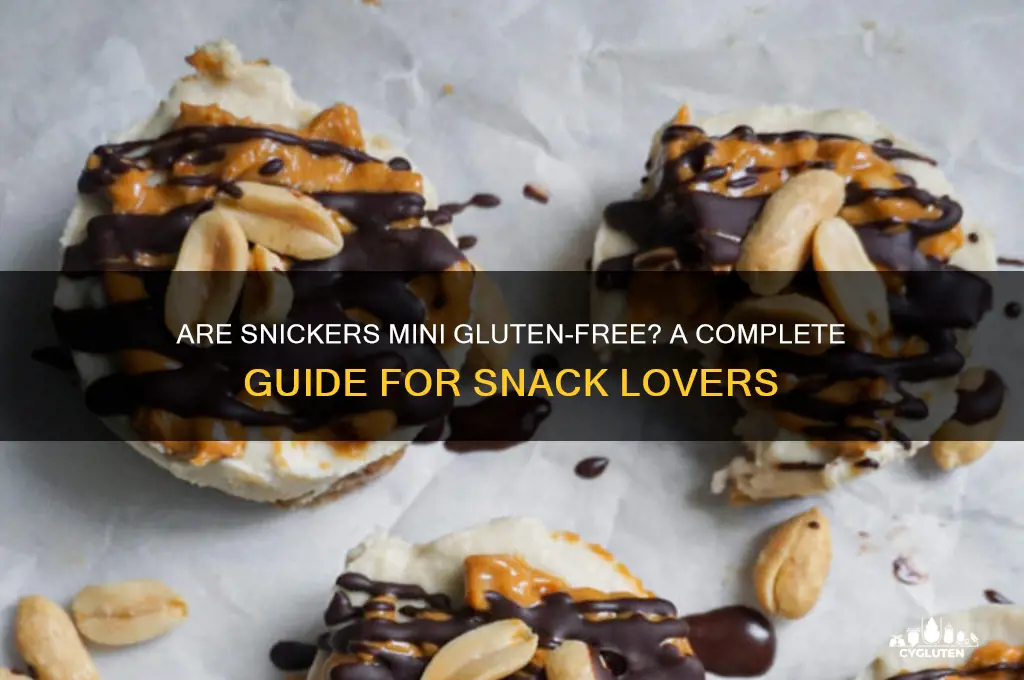 are snickers mini gluten free