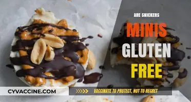 Are Snickers Minis Gluten-Free? A Sweet Snack Fact Check
