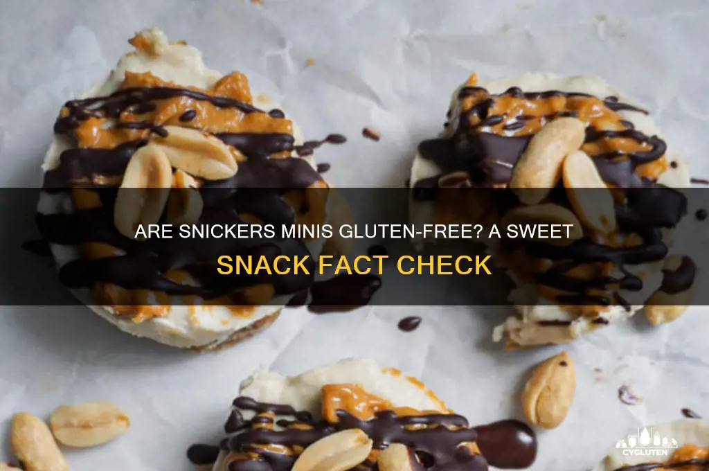 are snickers minis gluten free