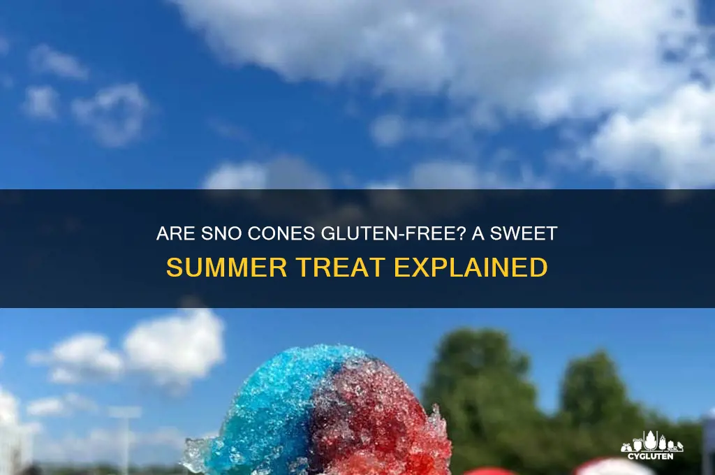 are sno cones gluten free