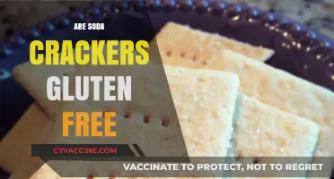 Are Soda Crackers Gluten-Free? A Comprehensive Guide to Safe Snacking