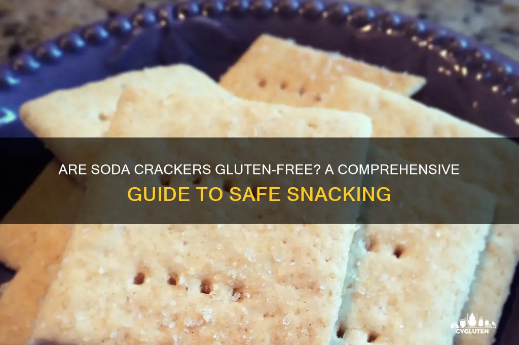 are soda crackers gluten free