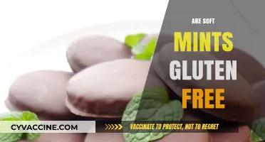 Are Soft Mints Gluten Free? A Complete Guide for Celiacs