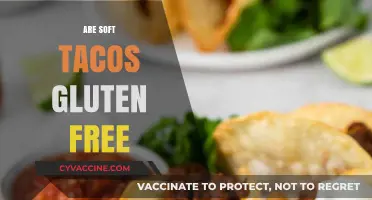 Are Soft Tacos Gluten-Free? A Complete Guide for Taco Lovers