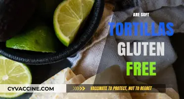 Are Soft Tortillas Gluten-Free? A Complete Guide to Safe Options