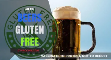 Are Sol Beers Gluten-Free? A Complete Guide for Beer Lovers