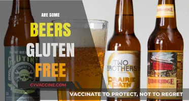Gluten-Free Beer Options: What You Need to Know