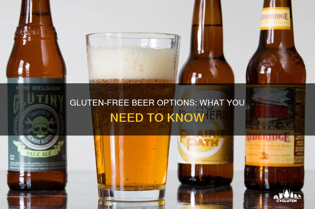 are some beers gluten free