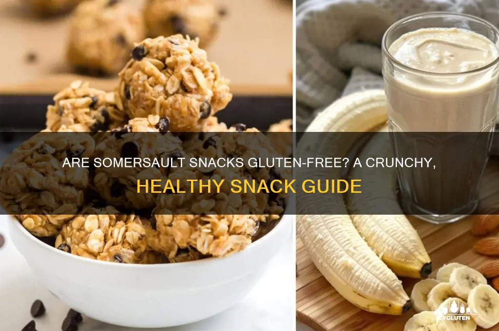 are somersault snacks gluten free