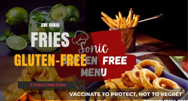 Are Sonic Fries Gluten-Free? A Complete Guide for Celiac Diners