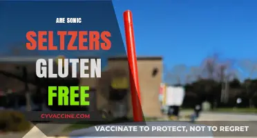 Are Sonic Seltzers Gluten-Free? A Complete Guide to Ingredients