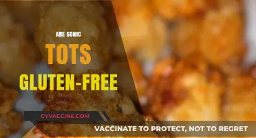 Are Sonic Tots Gluten-Free? A Complete Guide for Celiac Diners