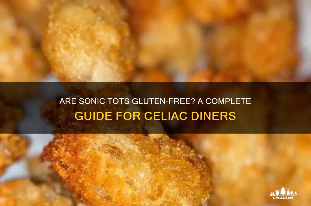 are sonic tots gluten-free