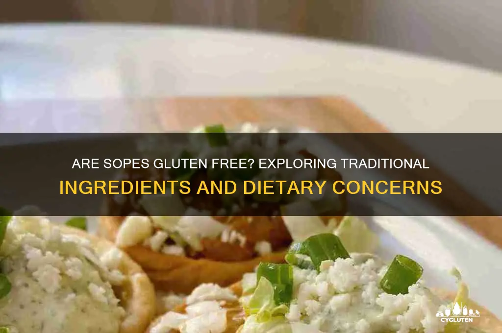 are sopes gluten free