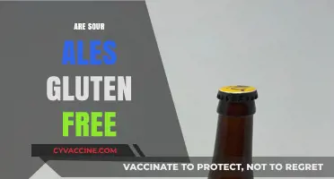 Are Sour Ales Gluten Free? Exploring the Facts for Beer Lovers