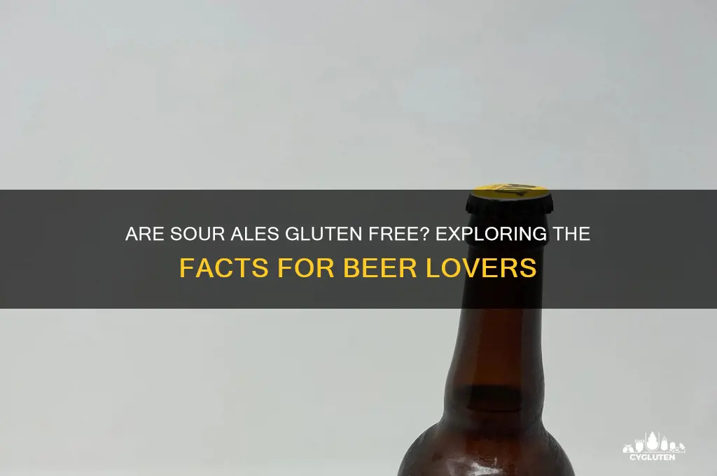 are sour ales gluten free