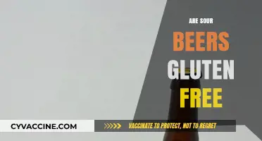 Are Sour Beers Gluten-Free? Unraveling the Truth for Celiac Drinkers