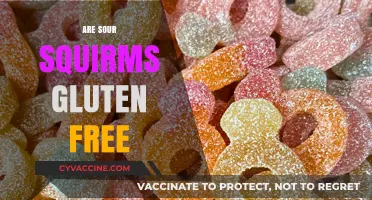 Are Sour Squirms Gluten Free? A Complete Guide for Snackers