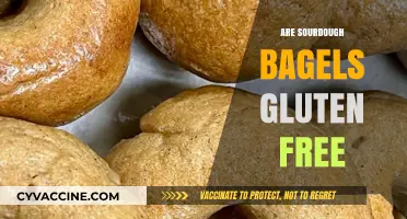 Sourdough Bagels and Gluten: Unraveling the Truth for Health-Conscious Eaters