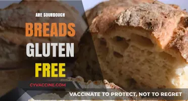 Sourdough Breads and Gluten: Debunking the Gluten-Free Myth