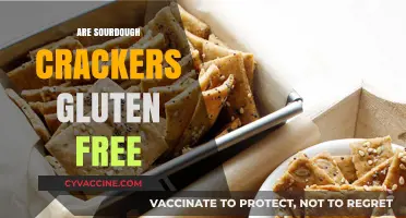 Are Sourdough Crackers Gluten-Free? Unraveling the Crunchy Truth