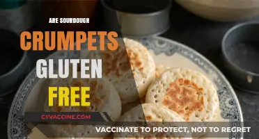 Are Sourdough Crumpets Gluten-Free? Unraveling the Truth for Dietary Needs