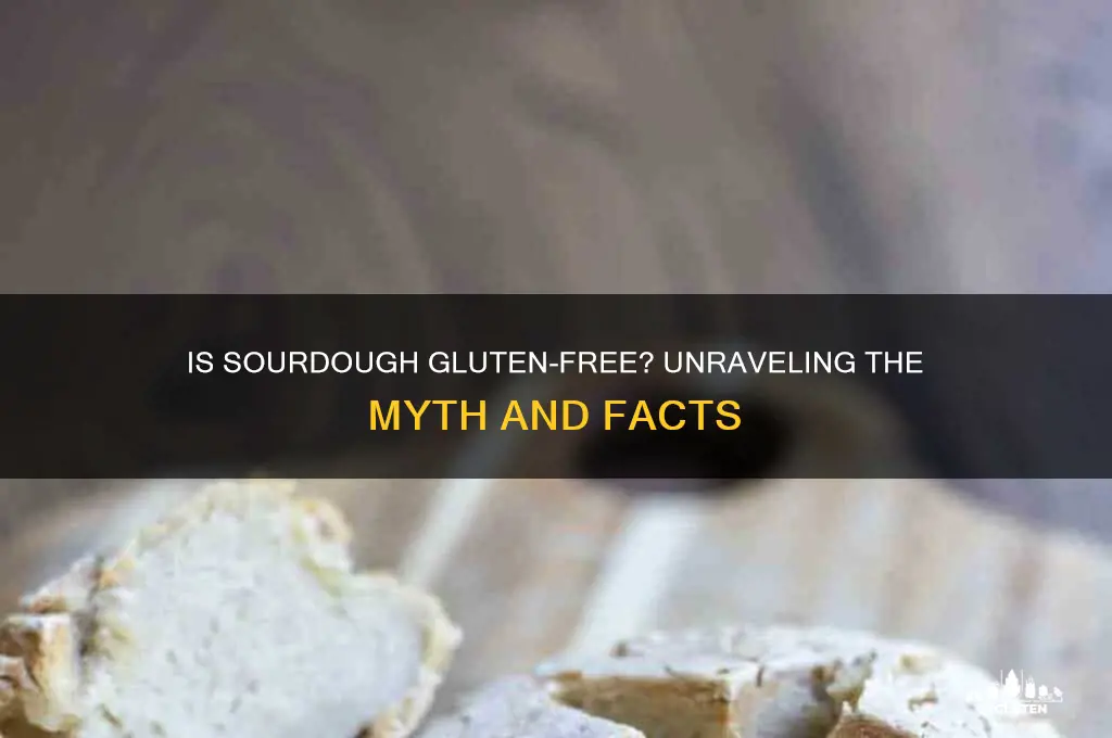 are sourdough gluten free