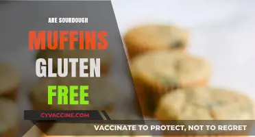 Are Sourdough Muffins Gluten-Free? Exploring Ingredients and Options